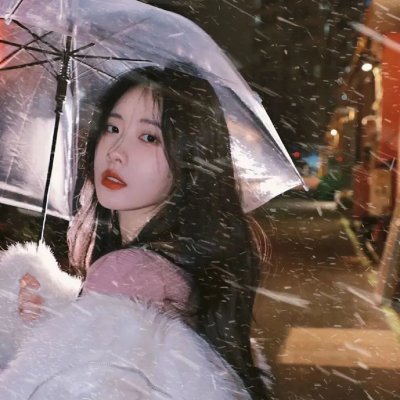 燃烧的巴黎圣母院